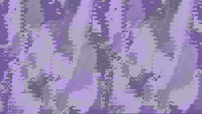 15 Purple Beige 3 Disclosure to and by the coroner