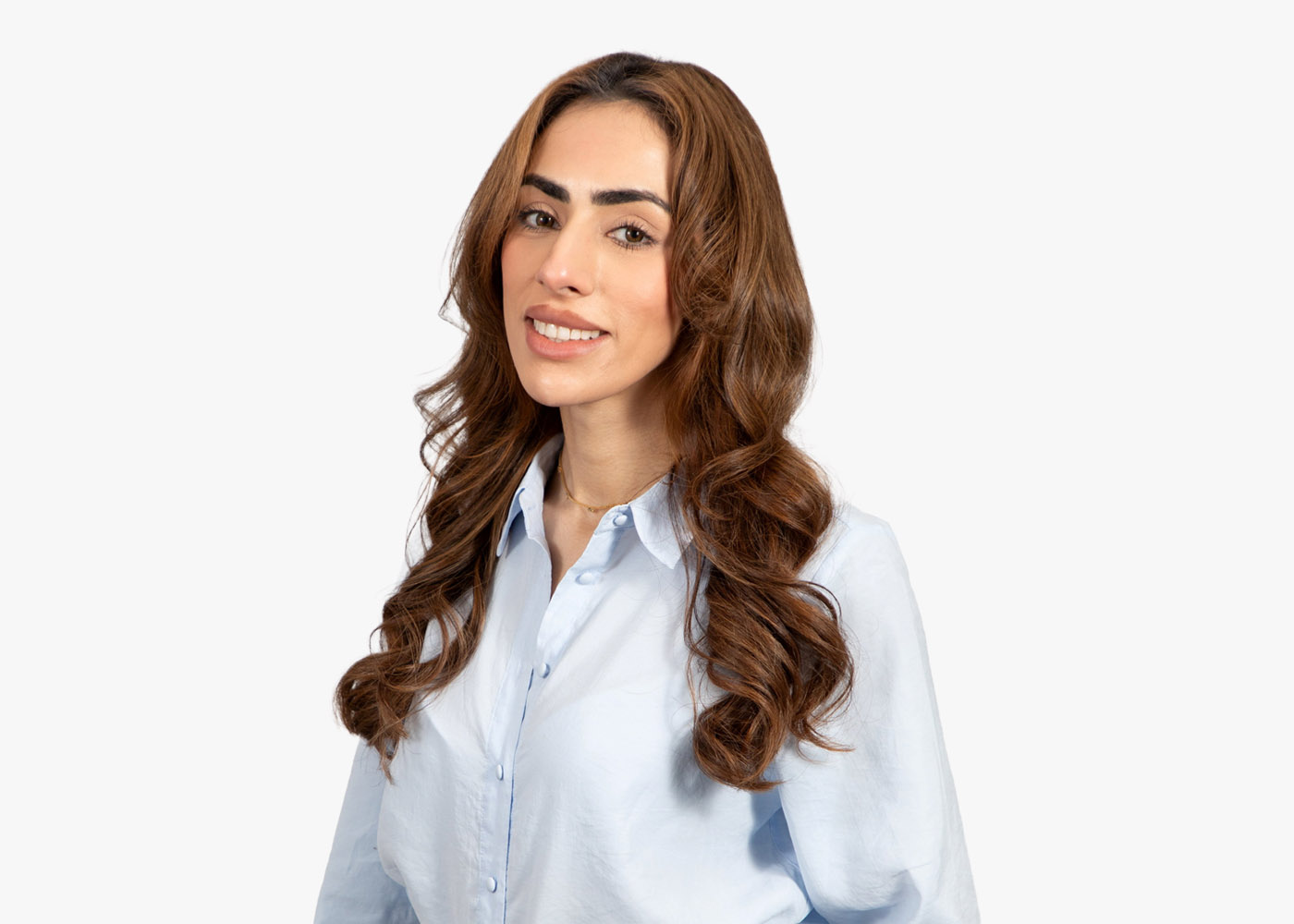 Anisa Hussain