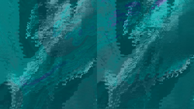 32 Teal Purple Light Teal 2 Assessment of damages under Spanish Law