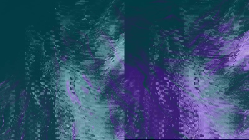 21 Teal Purple Beige 2 Driver Conduct Hearings, what your business needs to know