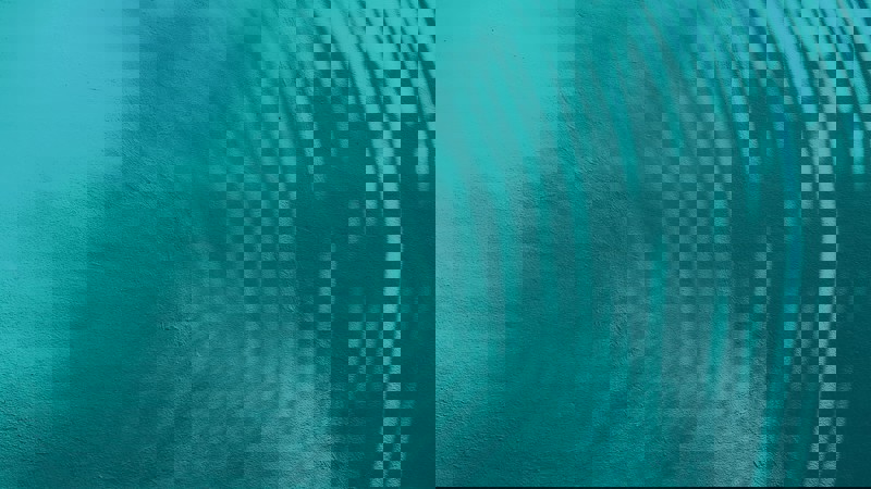36 Teal Light Teal Blue 1 An employer’s guide to sponsor licence compliance